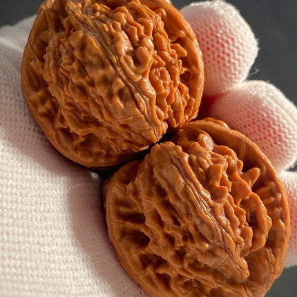 Collection image for: Top Grade Wenwan Walnuts