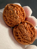 Top Grade Wenwan Walnuts