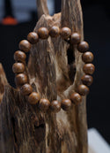 Homepage 6