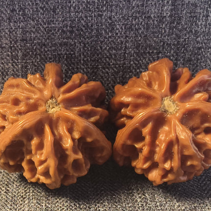 Collection image for: Wenwan Walnuts for beginners