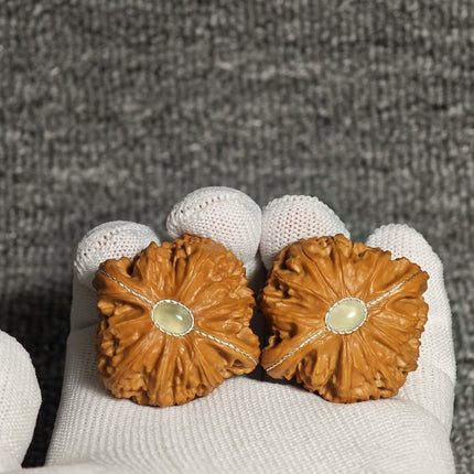 Collection image for: Inlaid  Wenwan Walnuts