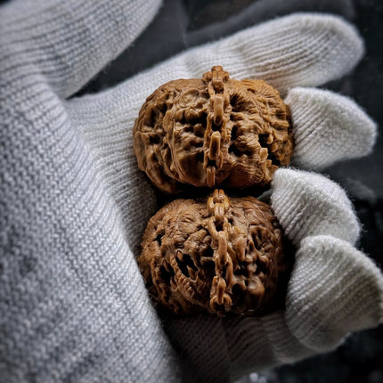 Collection image for: Hand Carved  Wenwan Walnut