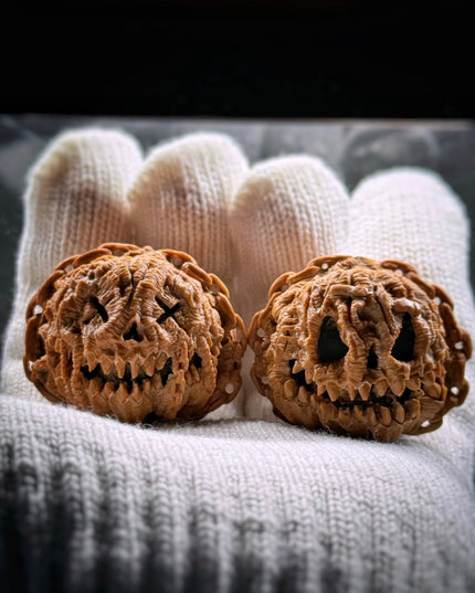 🎃 Hand Carved White Lion Walnut: Halloween Jack-o'-Lantern Edition
