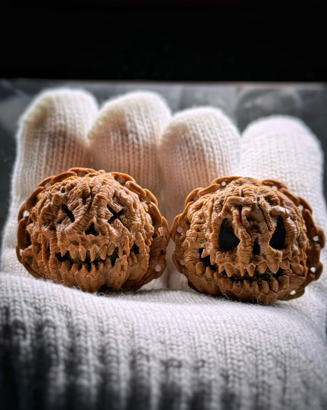 🎃 Hand Carved White Lion Walnut: Halloween Jack-o'-Lantern Edition