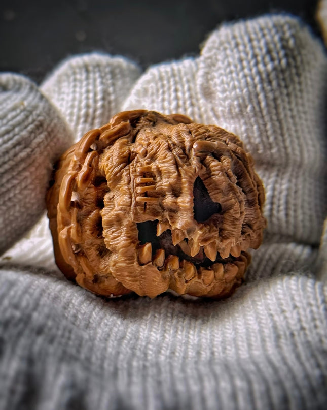 🎃 Hand Carved White Lion Walnut: Halloween Jack-o'-Lantern Edition