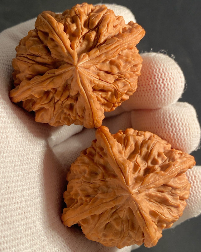 Rare One-of-a-Kiand Four-Ridge Lion Head Walnut Pair