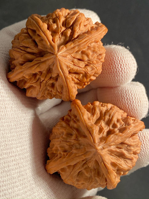 Rare One-of-a-Kiand Four-Ridge Lion Head Walnut Pair