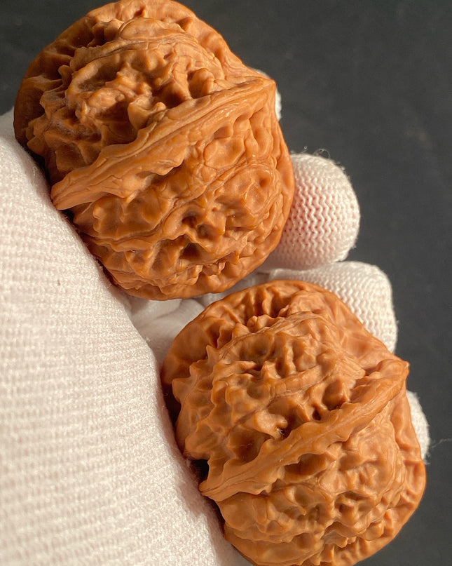 Rare One-of-a-Kiand Four-Ridge Lion Head Walnut Pair