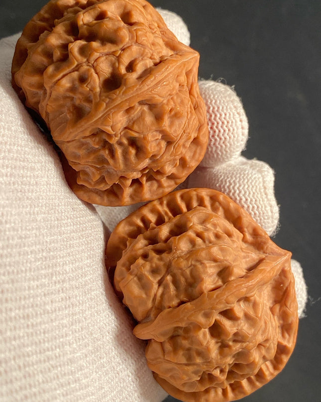 Rare One-of-a-Kiand Four-Ridge Lion Head Walnut Pair