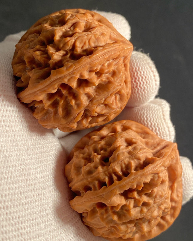 Rare One-of-a-Kiand Four-Ridge Lion Head Walnut Pair