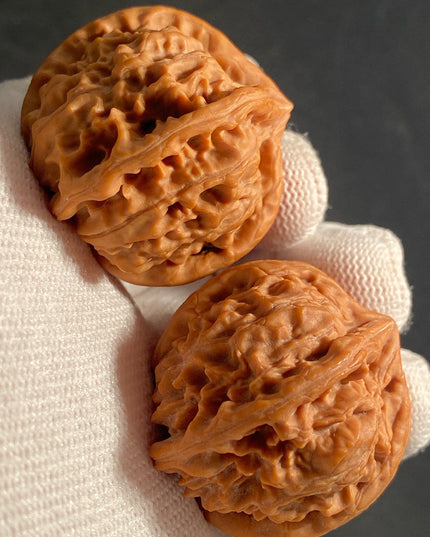 Rare One-of-a-Kiand Four-Ridge Lion Head Walnut Pair