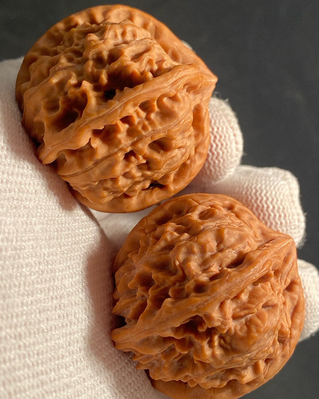 Rare One-of-a-Kiand Four-Ridge Lion Head Walnut Pair