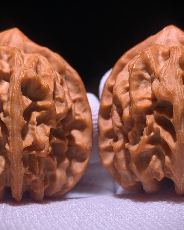 Cao Dalong Huairou First-Generation Mountain-Grown Walnuts