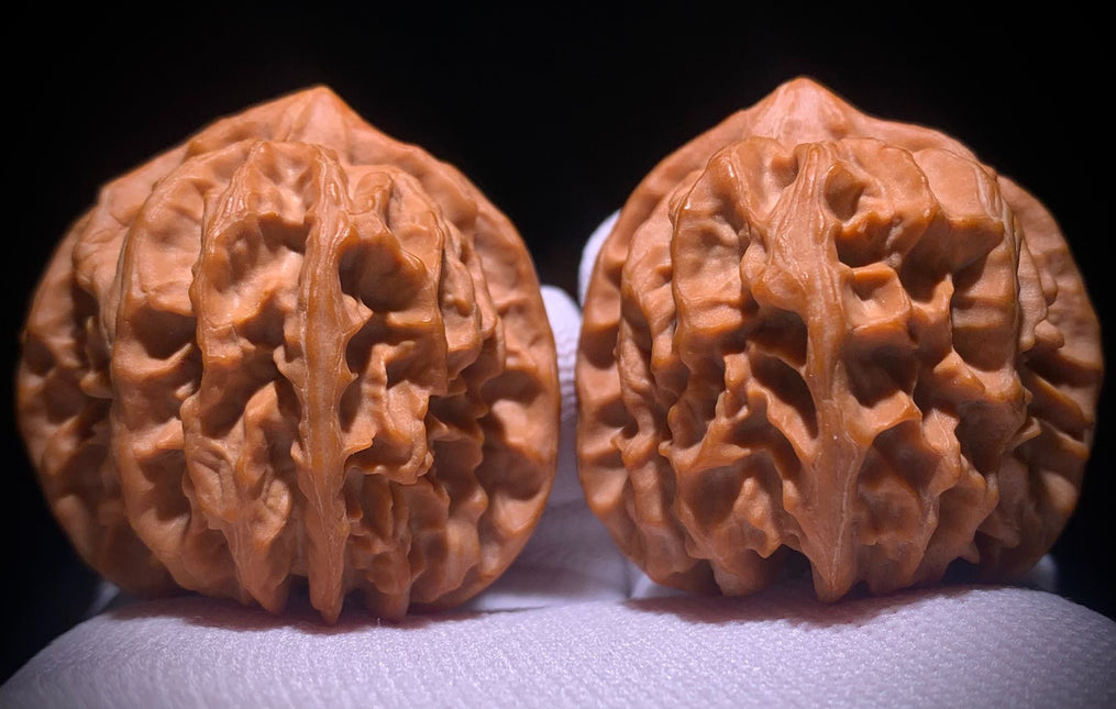 Cao Dalong Huairou First-Generation Mountain-Grown Walnuts