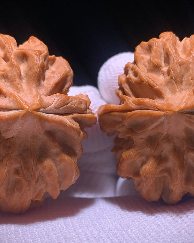 Cao Dalong Huairou First-Generation Mountain-Grown Walnuts