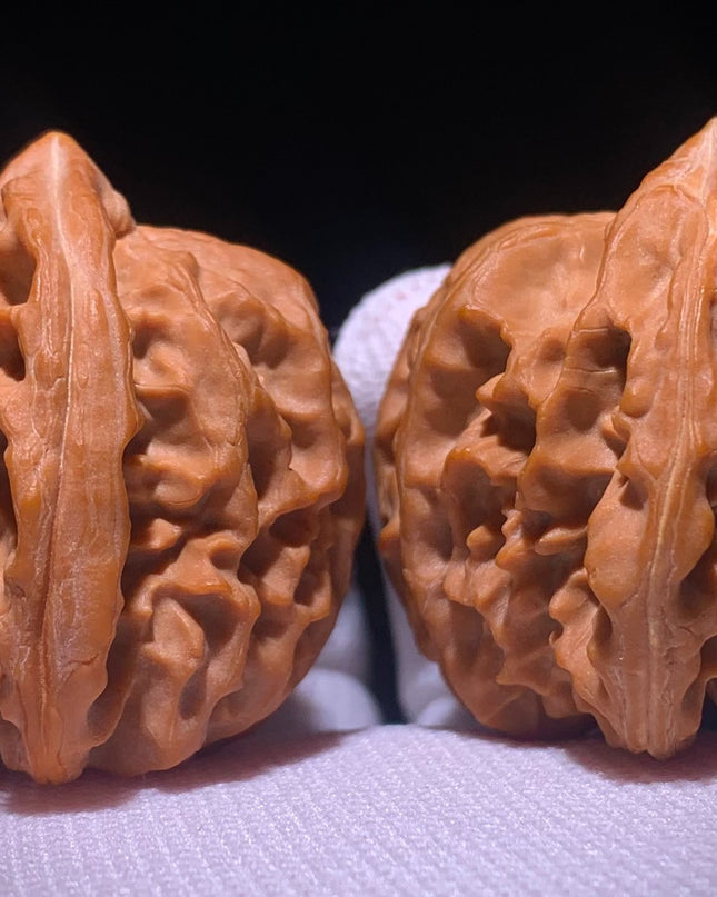 Cao Dalong Huairou First-Generation Mountain-Grown Walnuts
