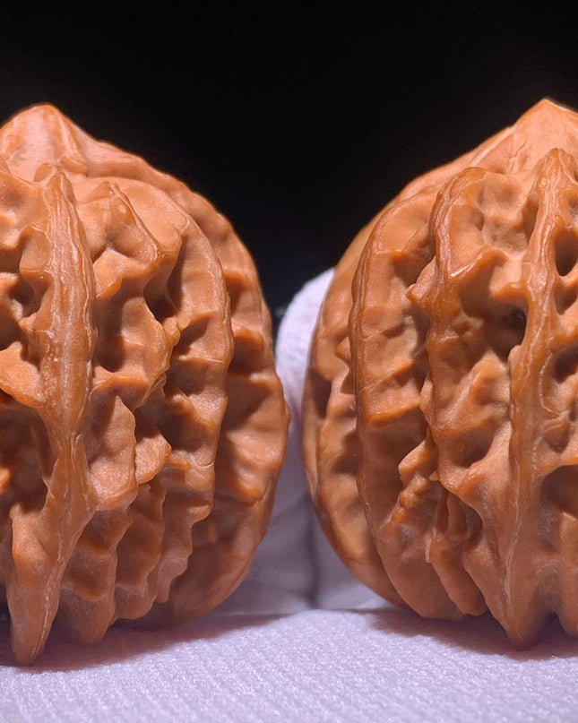 Cao Dalong Huairou First-Generation Mountain-Grown Walnuts