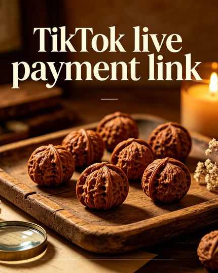TikTok Livestream Payment Link
