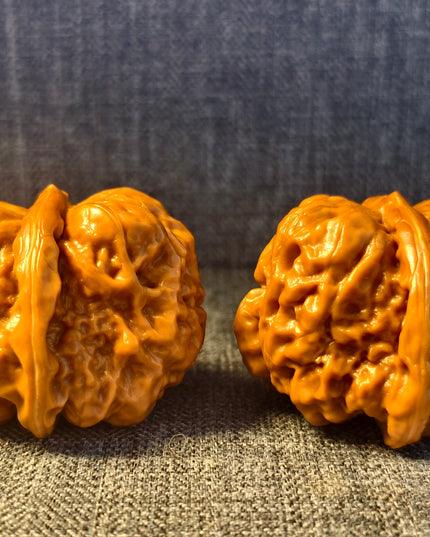 Toad Head Wenwan Walnuts