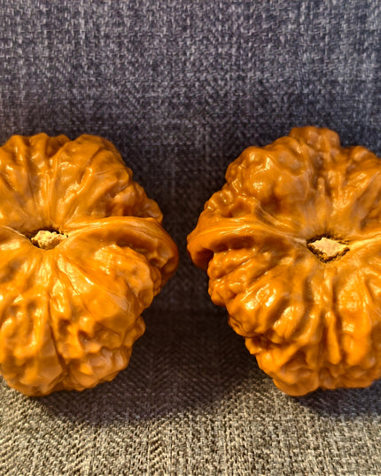 Toad Head Wenwan Walnuts