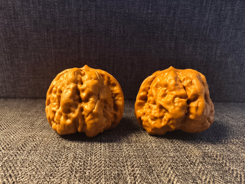 Base Coated Toad Head Wenwan Walnuts