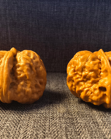 Base Coated Toad Head Wenwan Walnuts