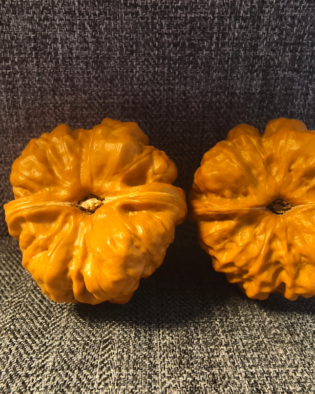 Base Coated Toad Head Wenwan Walnuts
