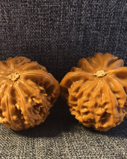 Collector Grade Base-Coated Palace Lantern Wenwan Walnuts (39×35mm)