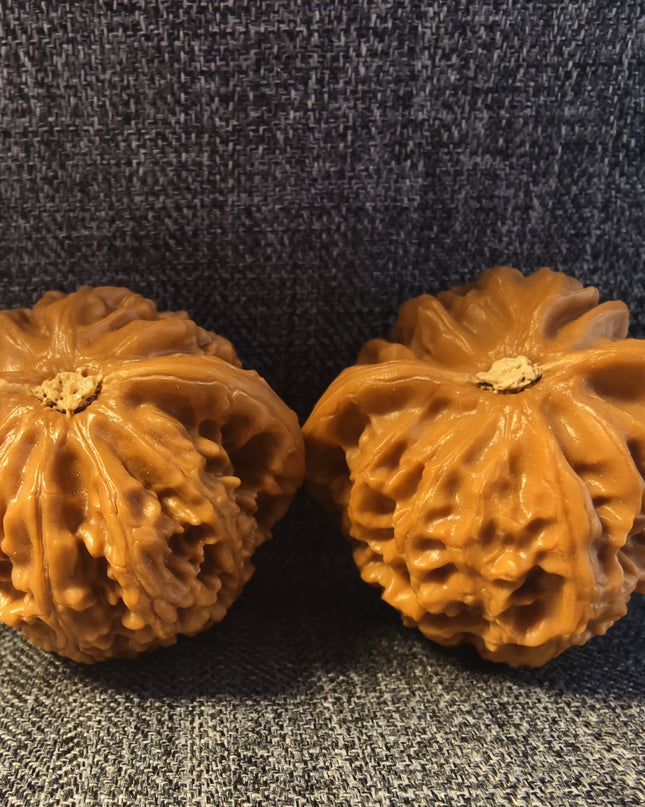 Collector Grade Base-Coated Palace Lantern Wenwan Walnuts (39×35mm)