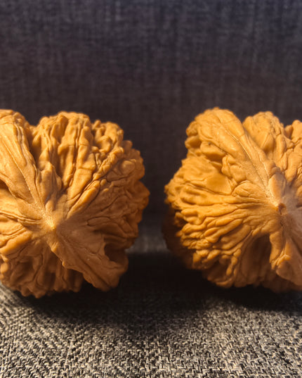 Wheat Ear Tiger Head Wenwan Walnuts