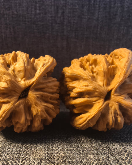 Wheat Ear Tiger Head Wenwan Walnuts
