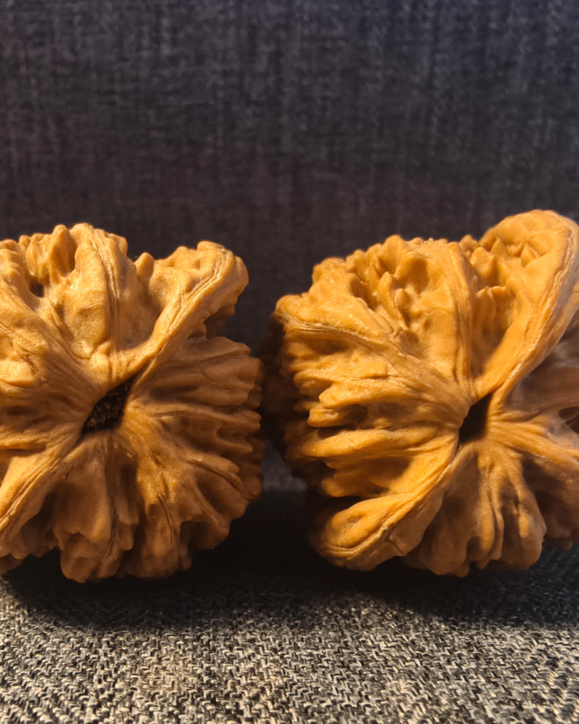 Wheat Ear Tiger Head Wenwan Walnuts