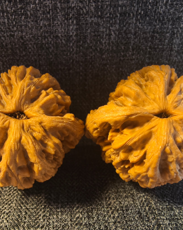 Wheat Ear Tiger Head Wenwan Walnuts