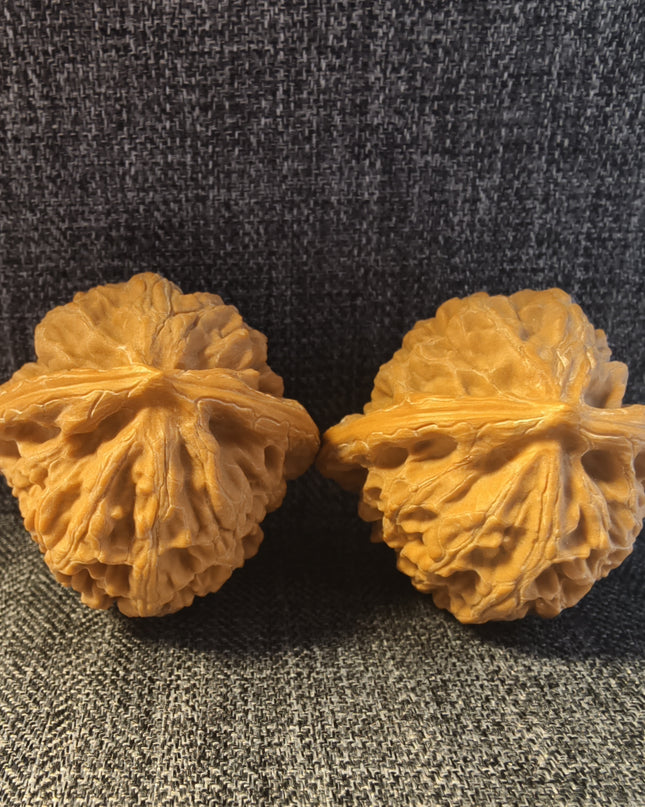 Collector Grade Raw Palace Lantern Wenwan Walnuts (39×36mm)