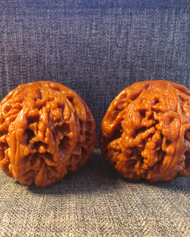 Collector Grade Base-Coated Big Thick Ribs Wenwan Walnuts