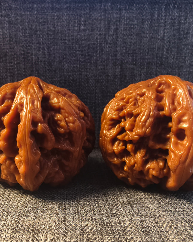 Collector Grade Base-Coated Big Thick Ribs Wenwan Walnuts