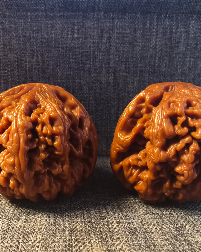 Collector Grade Base-Coated Big Thick Ribs Wenwan Walnuts