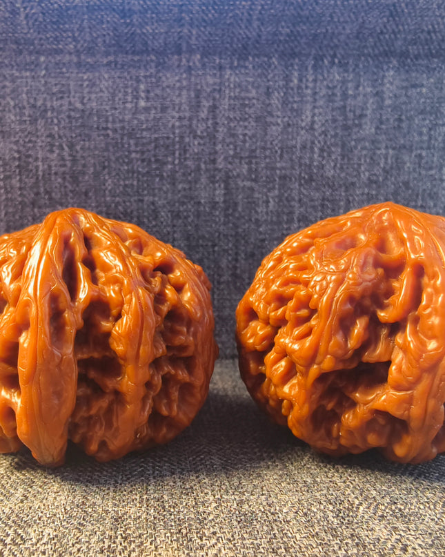 Collector Grade Base-Coated Big Thick Ribs Wenwan Walnuts