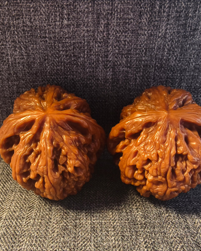 Collector Grade Base-Coated Big Thick Ribs Wenwan Walnuts