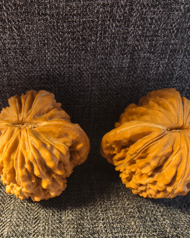 Raw Unpolished Four-Story Tower Wenwan Walnuts