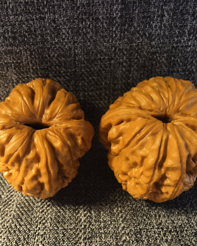 Collector Grade YuanBao (Ingot) Wenwan Walnuts (34×30mm)