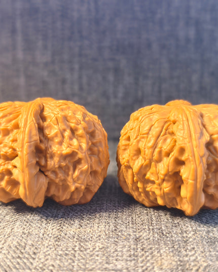Dwarf-stock white lion head wenwan walnut