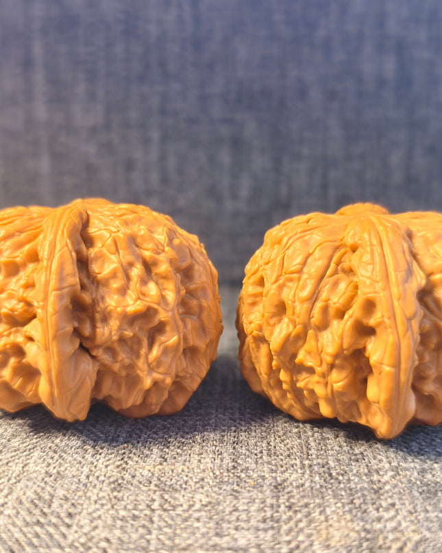 Dwarf-stock white lion head wenwan walnut