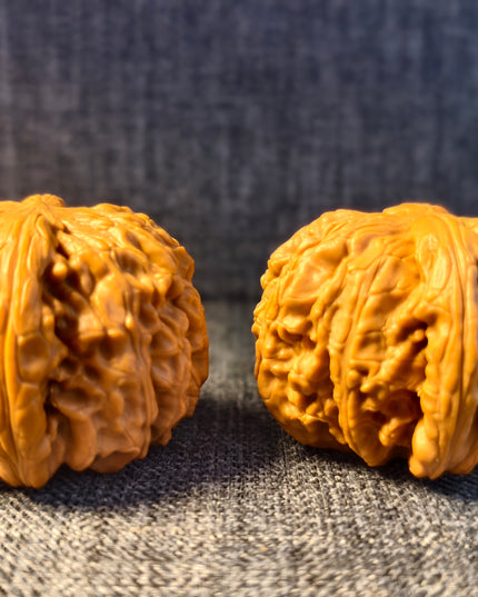 Dwarf-stock white lion head wenwan walnut