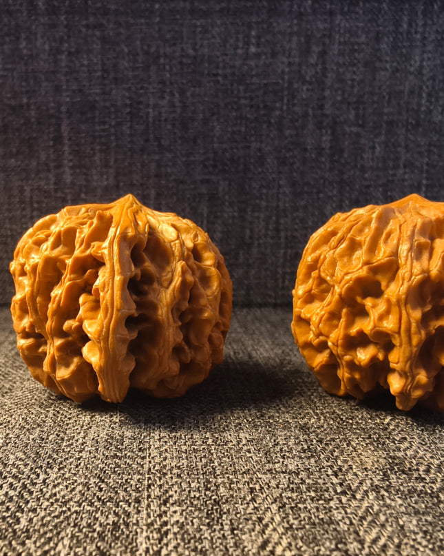 Base-Coated Apple Orchard Wenwan Walnuts