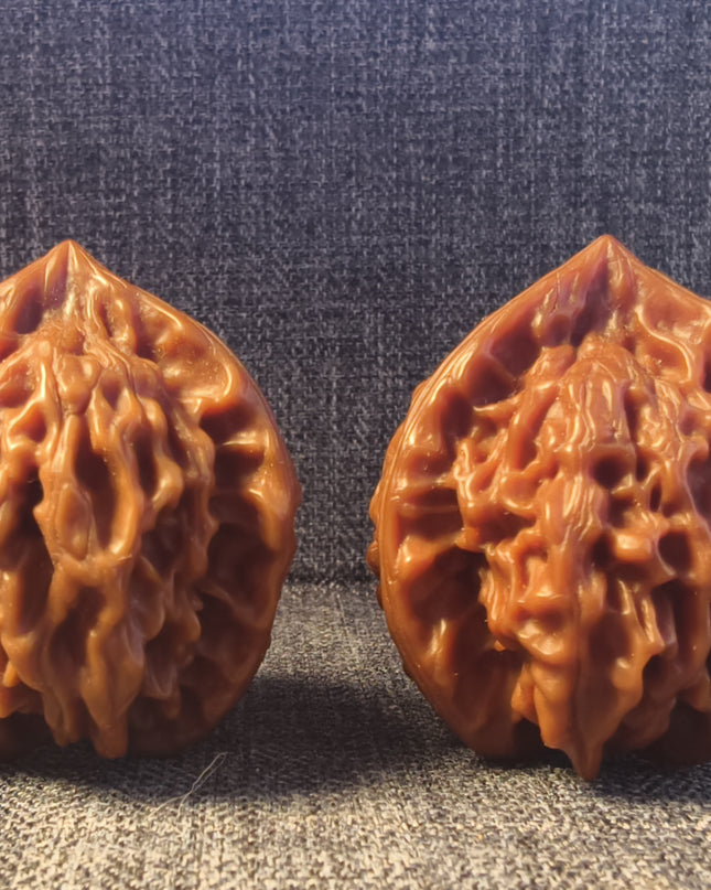 Collector Grade PanShan Tri-Ridge Wenwan Walnuts (35×40mm)