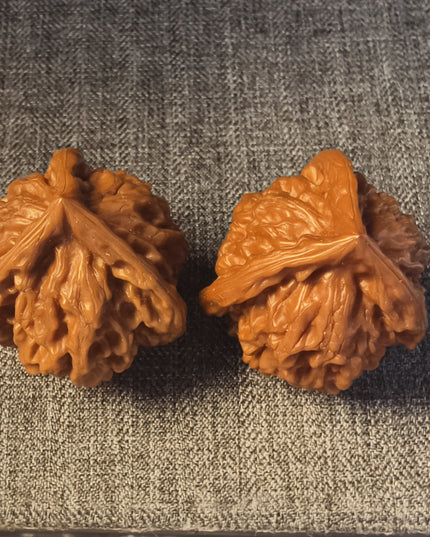 Collector Grade PanShan Tri-Ridge Wenwan Walnuts (35×40mm)