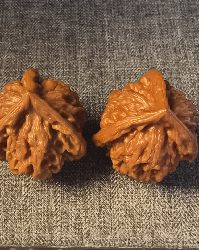 Collector Grade PanShan Tri-Ridge Wenwan Walnuts (35×40mm)