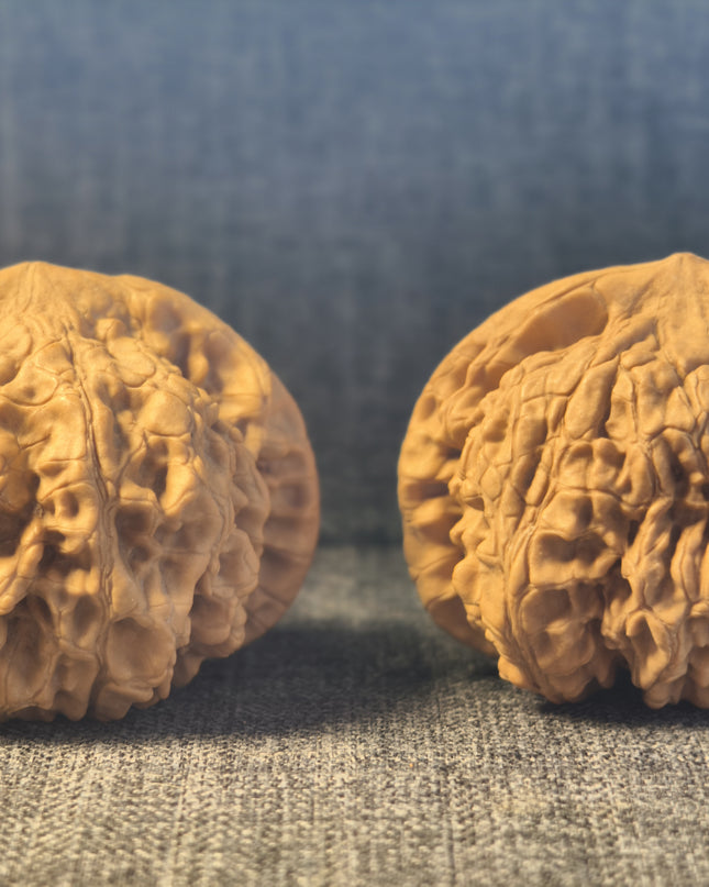 Collector Grade Raw Official Hat Wenwan Walnuts (50mm×40mm)