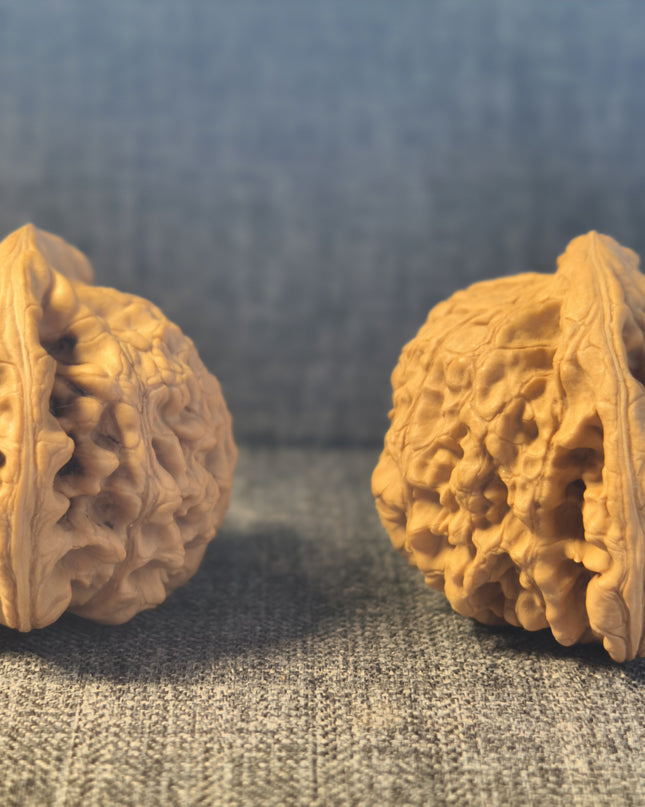 Collector Grade Raw Official Hat Wenwan Walnuts (50mm×40mm)